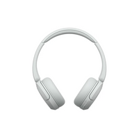 WH-CH520 Wireless Headphones with Microphone